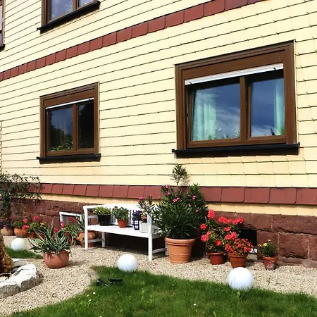 Holiday Flat Tambach-dietharz - Dmg07053-p *